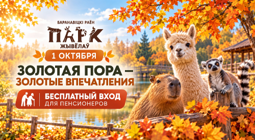 «Золотая пора — золотые впечатления!»