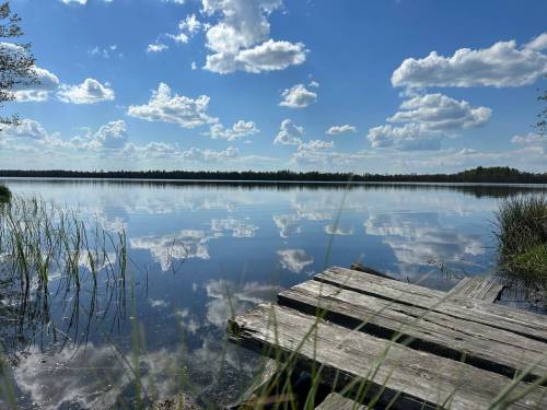 Ecotourism, transport, environmental protection in focus of Ecology Expo in Minsk