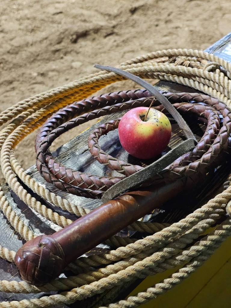 5269573144895229757.jpg 5269573144895229757.jpg