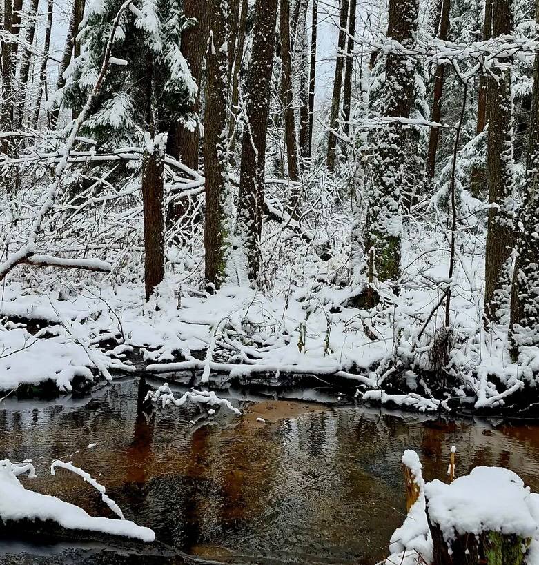 5275991647101586968.jpg 5275991647101586968.jpg