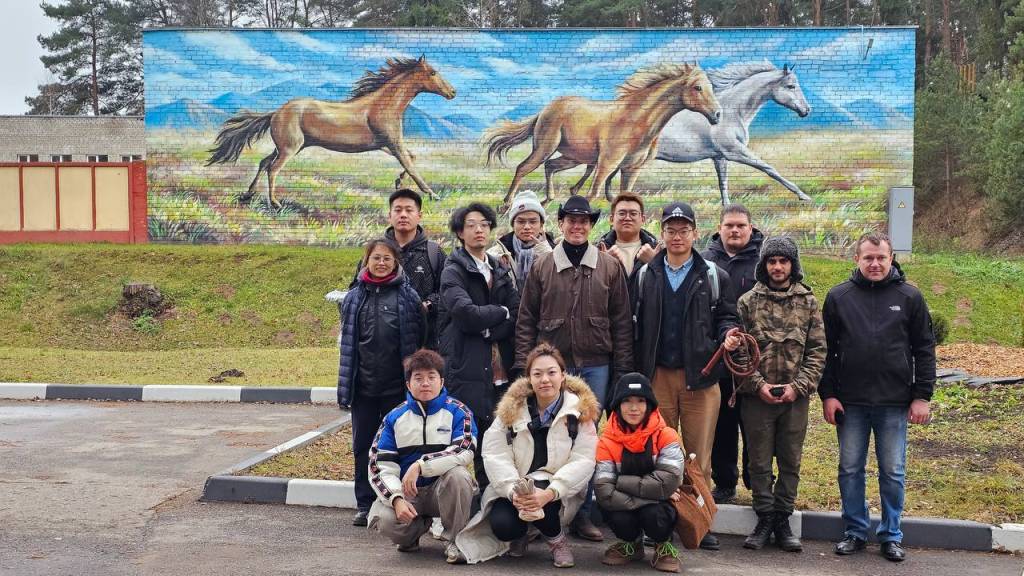 5269573144895229756.jpg 5269573144895229756.jpg