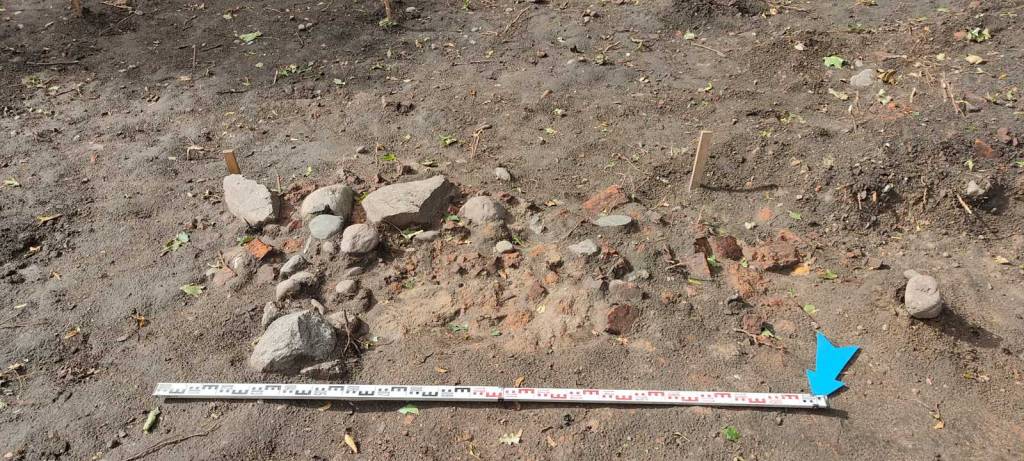 12 (1).jpg 12 (1).jpg