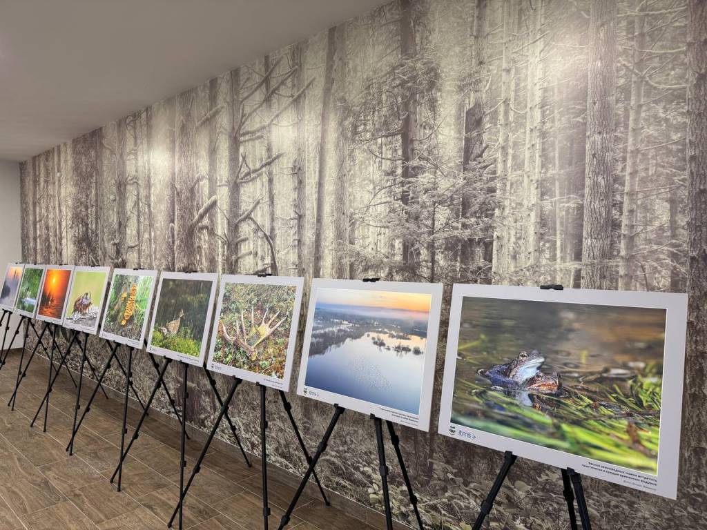 5199551537150557003.jpg 5199551537150557003.jpg