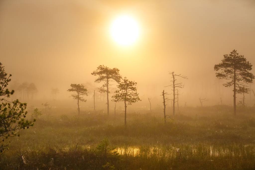 _C9A0596.jpg _C9A0596.jpg