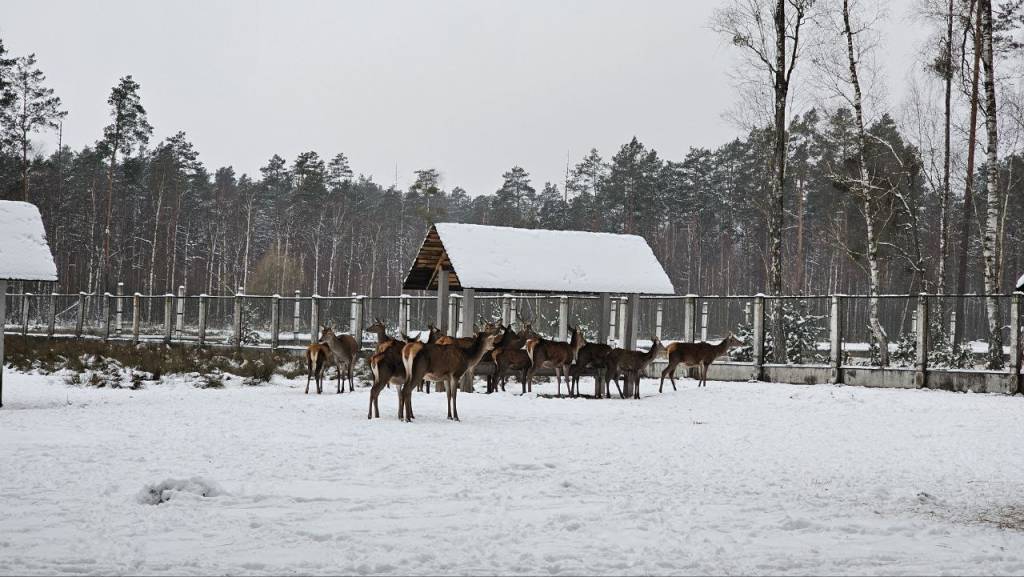 photo_5440799536634253718_y.jpg photo_5440799536634253718_y.jpg