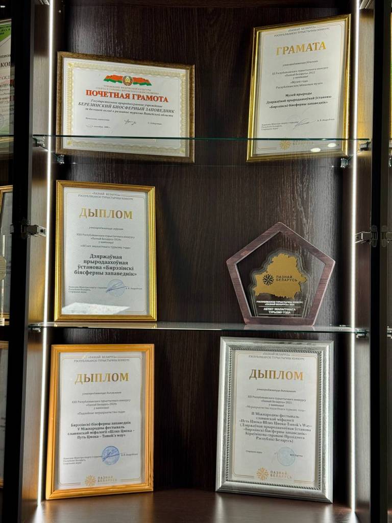 5199551537150557004.jpg 5199551537150557004.jpg