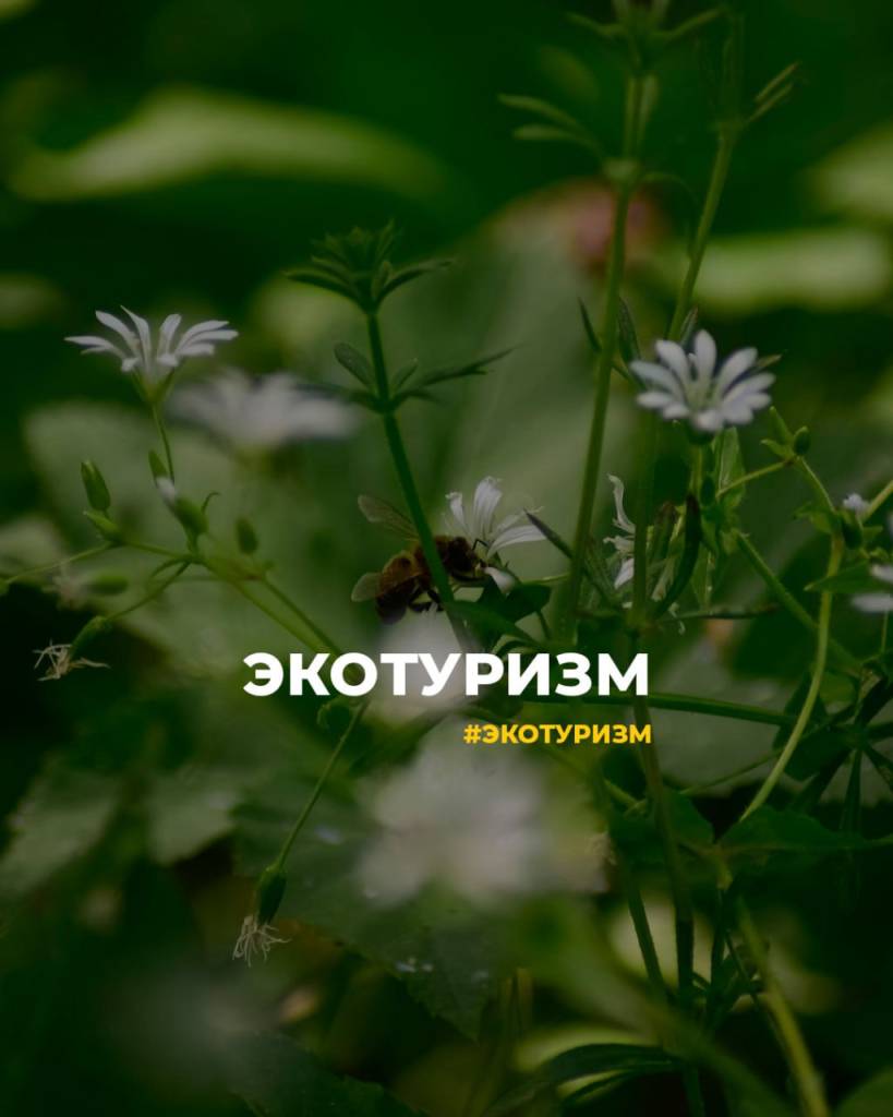 экологический.jpeg экологический.jpeg