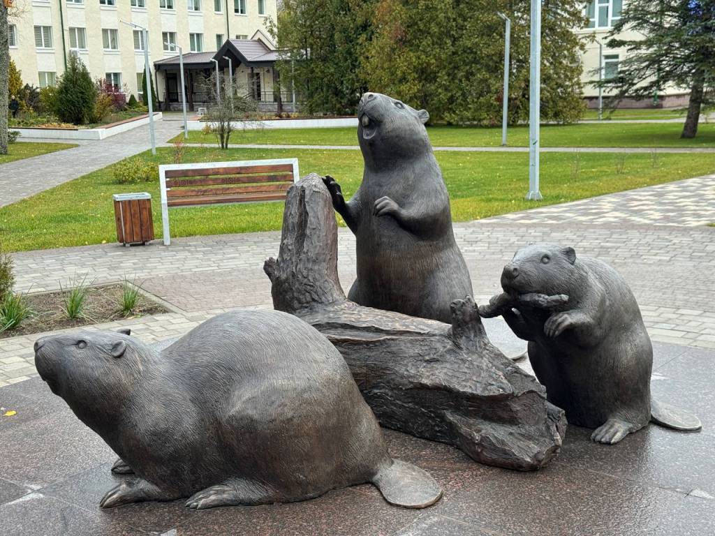 5199551537150557007.jpg 5199551537150557007.jpg