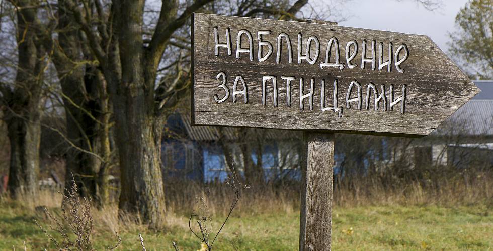 Бачыць і разумець іншага — вельмі важна