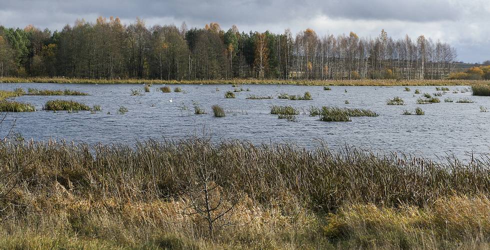 Бачыць і разумець іншага — вельмі важна