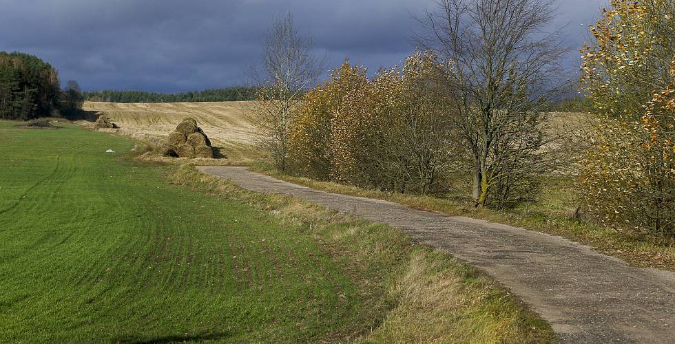 Бачыць і разумець іншага — вельмі важна