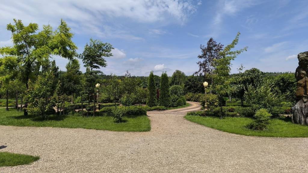 e8ea9503-8f06-4fee-a517-b1c0bbdf0a2d.jpg e8ea9503-8f06-4fee-a517-b1c0bbdf0a2d.jpg