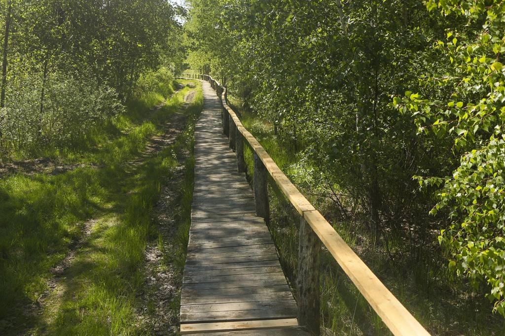 Ольманы.jpg Ольманы.jpg