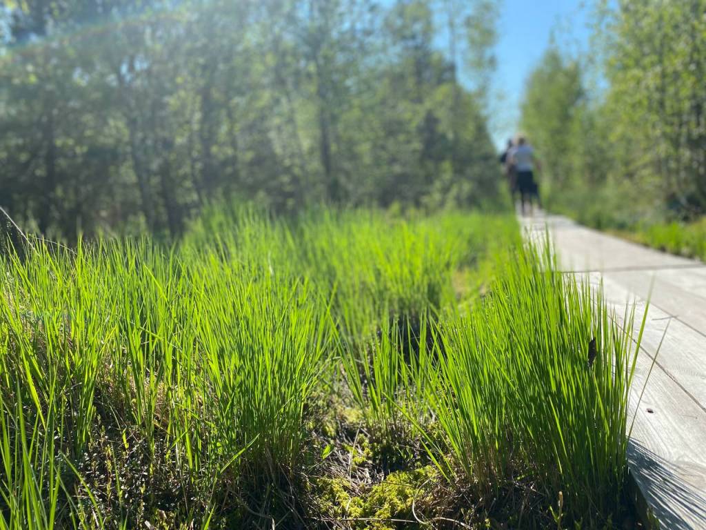 photo_2022-06-01_11-11-09.jpg photo_2022-06-01_11-11-09.jpg