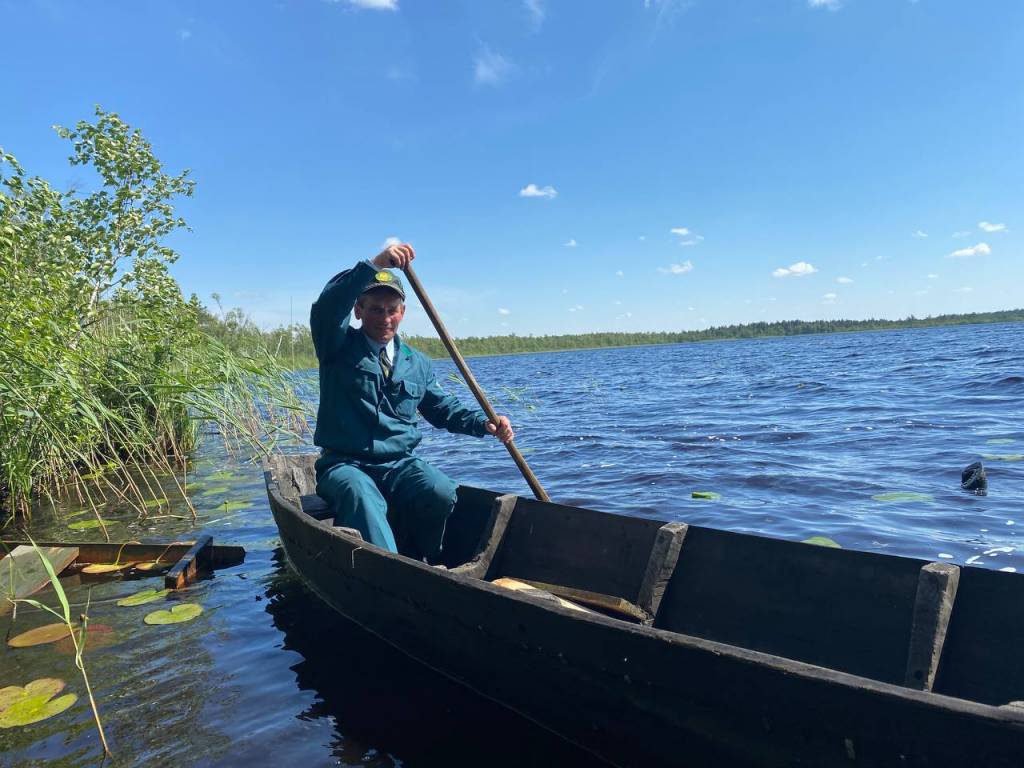 photo_2022-06-01_11-11-20.jpg photo_2022-06-01_11-11-20.jpg
