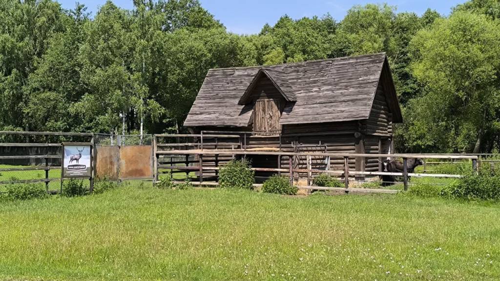 9385ae93-c701-475d-a5d6-94eb7f998ff9.jpg 9385ae93-c701-475d-a5d6-94eb7f998ff9.jpg