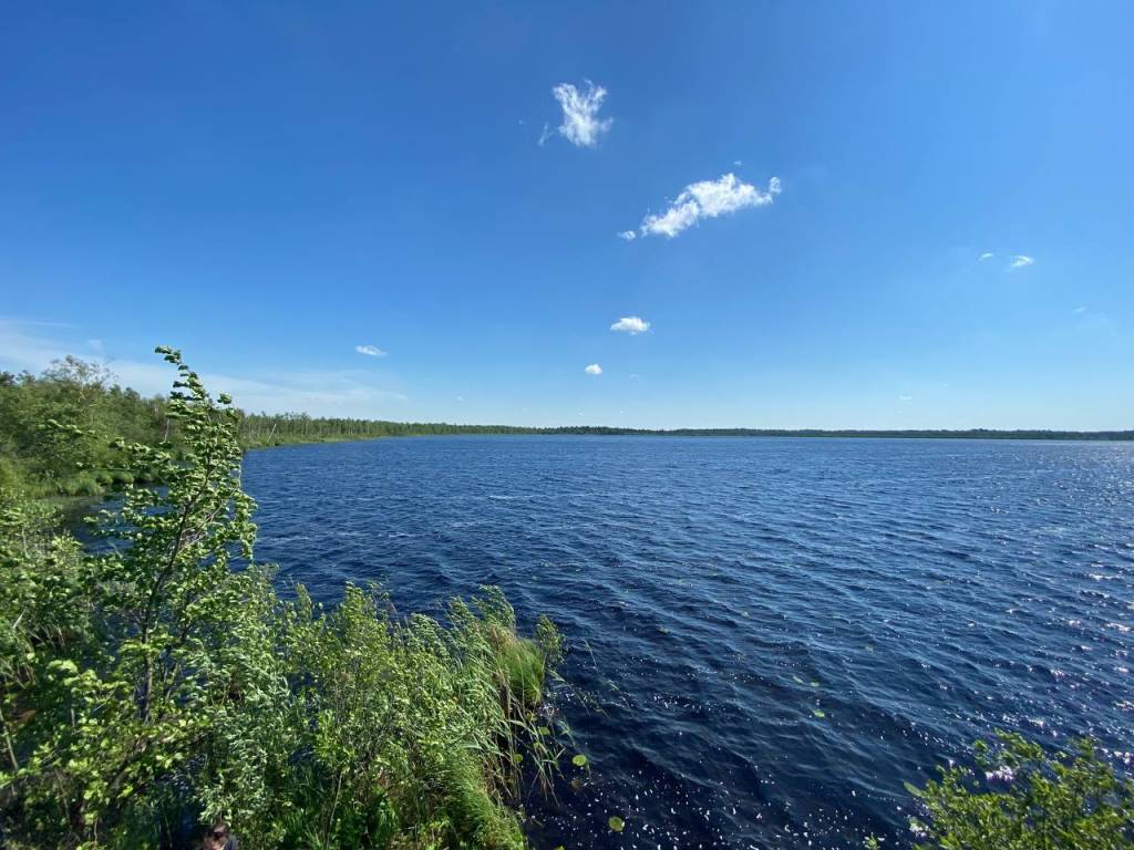 photo_2022-06-01_11-11-10.jpg photo_2022-06-01_11-11-10.jpg